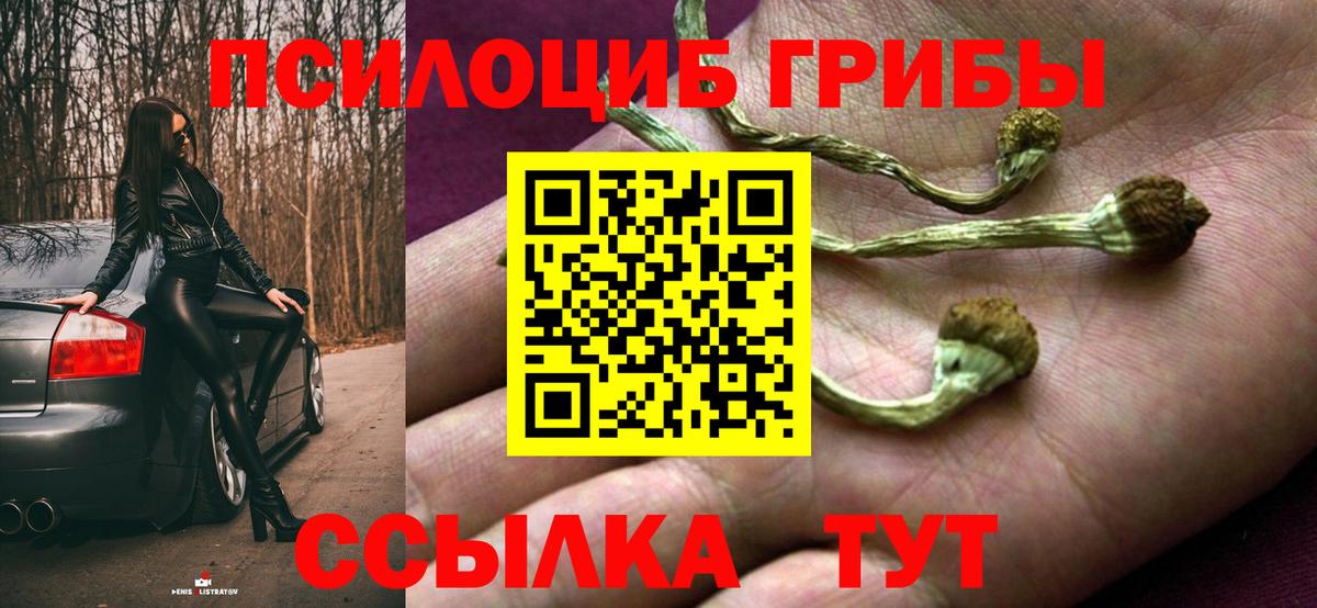 Гусь-Хрустальный  Псилоцибиновые грибы ЛСД  продажа наркотиков  Вход с VPN 